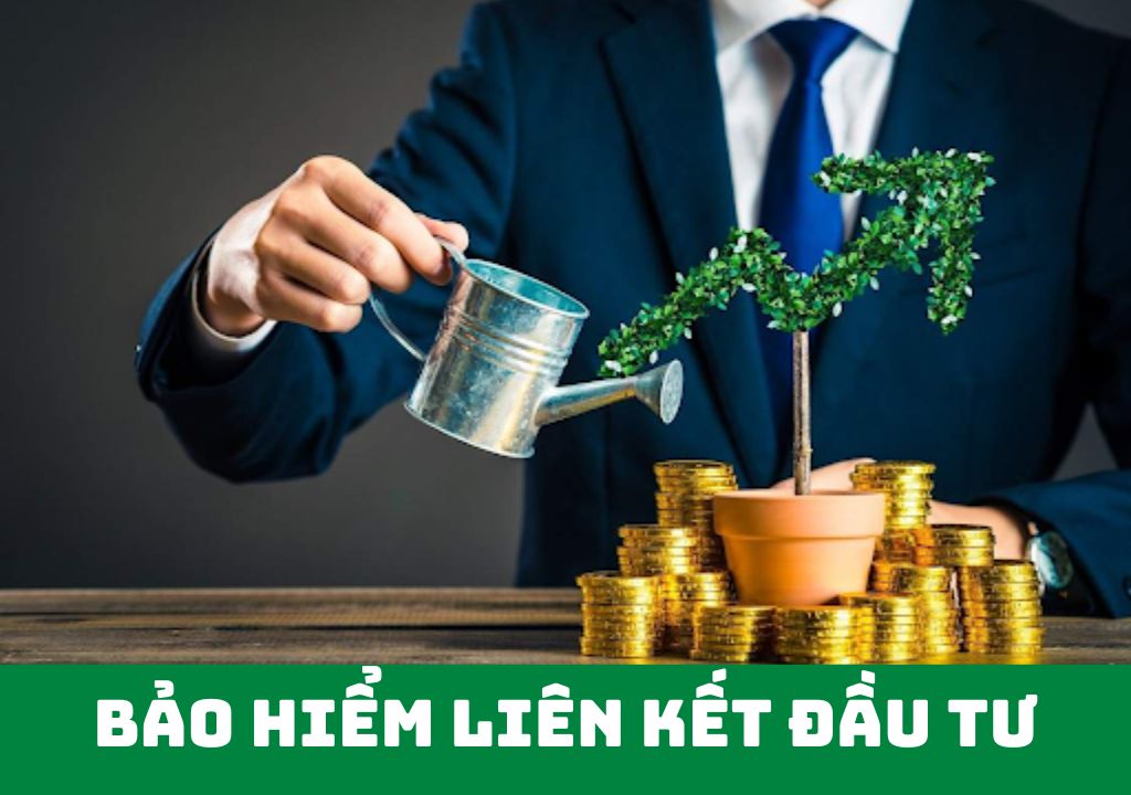 Bảo hiểm liên kết đầu tư là gì?